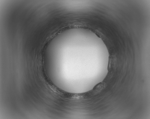 X0000067500760200604071023