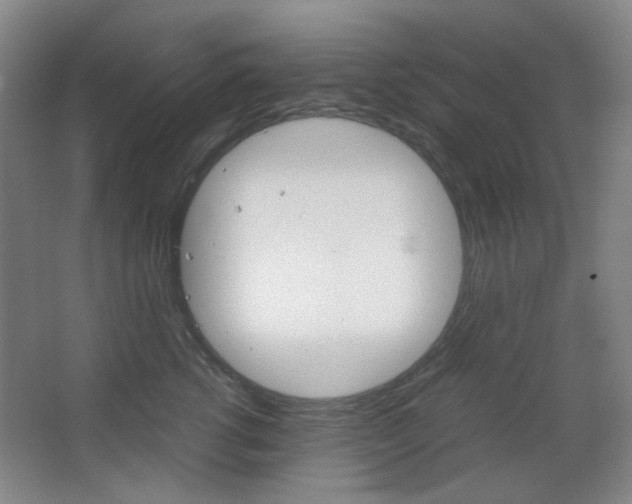 X0000067500762200604071023