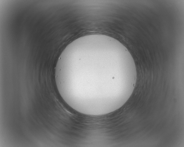 X0000067500764200604071023