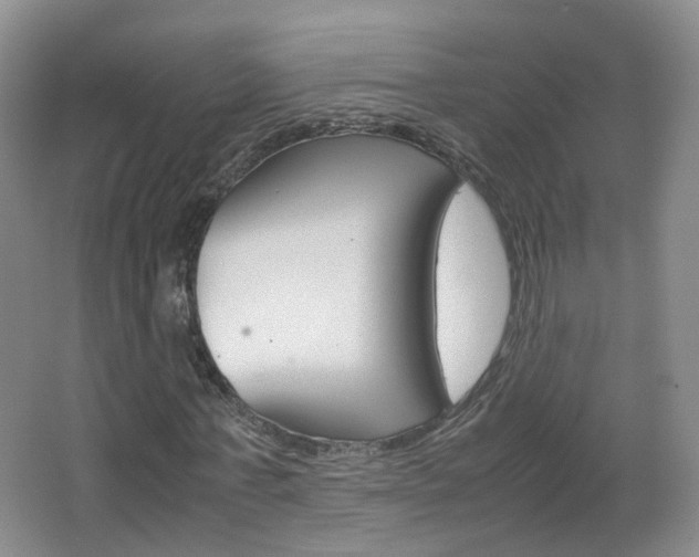 X0000067500771200604071022