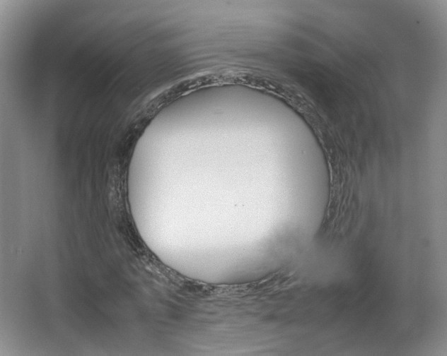 X0000067500773200604071022