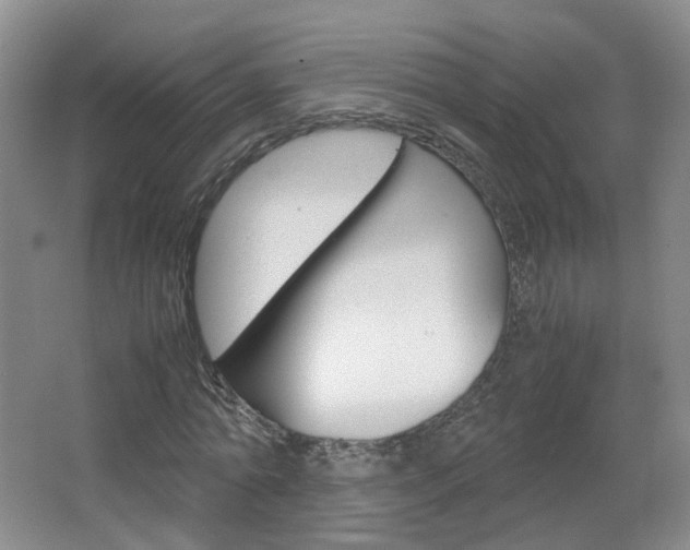 X0000067500774200604071022