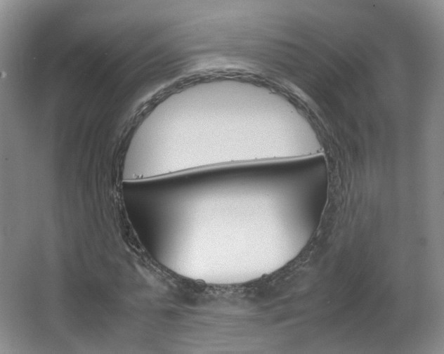 X0000067500775200604071022