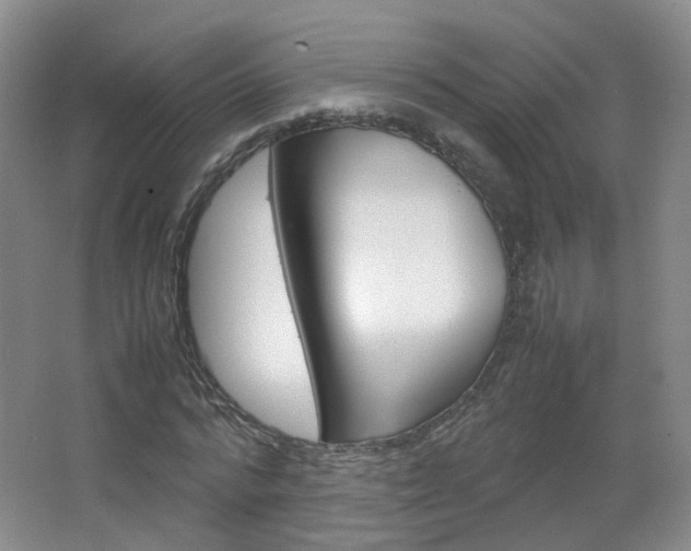 X0000067500776200604071022
