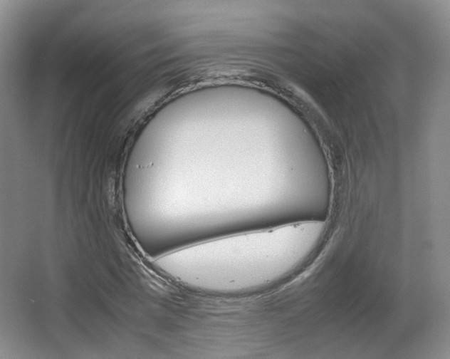 X0000067500777200604071022