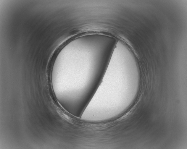 X0000067500779200604071022