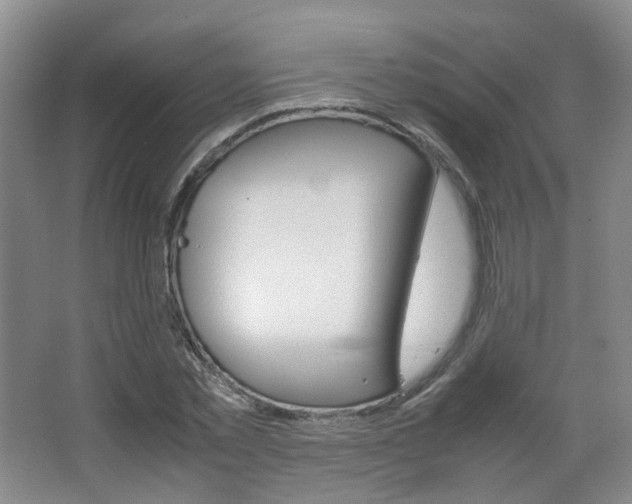 X0000067500781200604071022