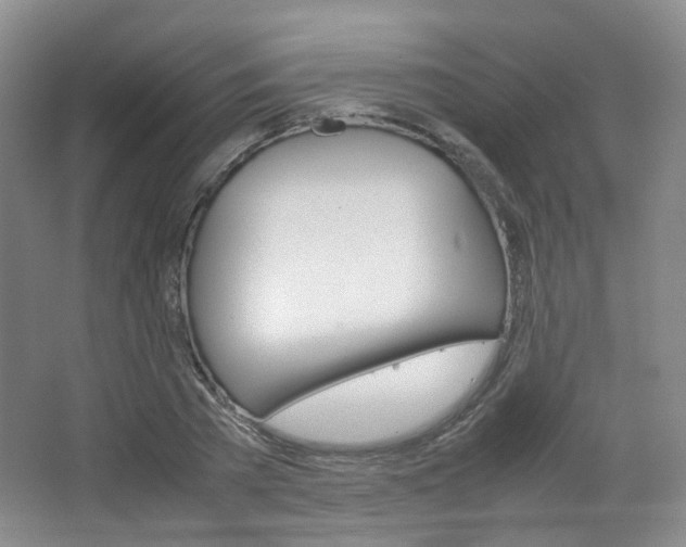 X0000067500785200604071022
