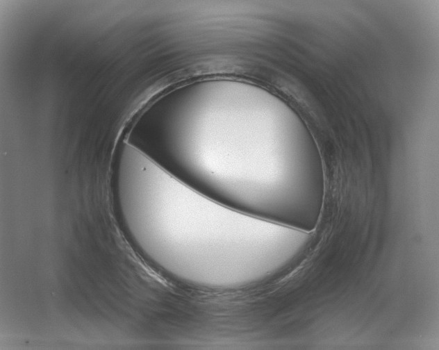X0000067500786200604071022