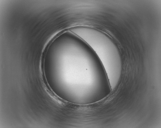 X0000067500788200604071022