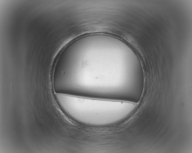 X0000067500789200604071022