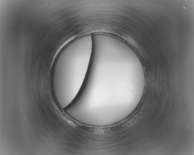 X0000067500790200604071022