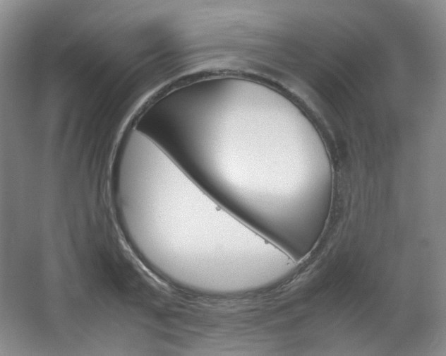 X0000067500791200604071022