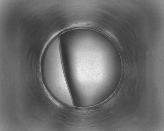 X0000067500792200604071022