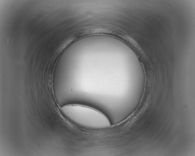 X0000067500793200604071022