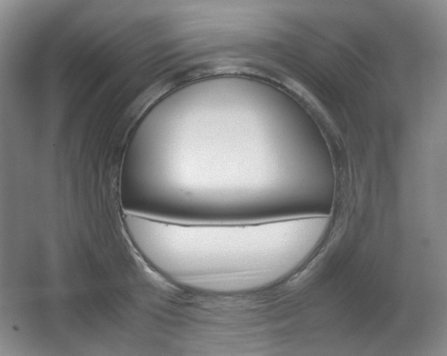 X0000067500801200604071022
