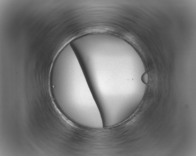X0000067500802200604071022