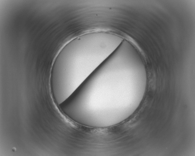 X0000067500810200604071021