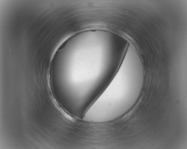 X0000067500812200604071021