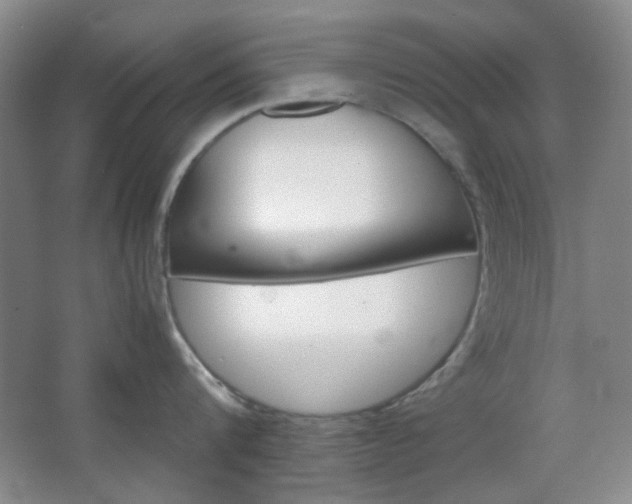 X0000067500816200604071021