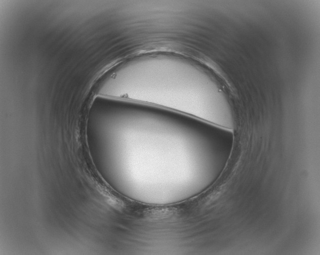 X0000067500826200604071021