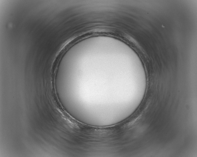 X0000067500829200604071021