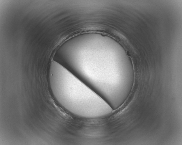 X0000067500833200604071021