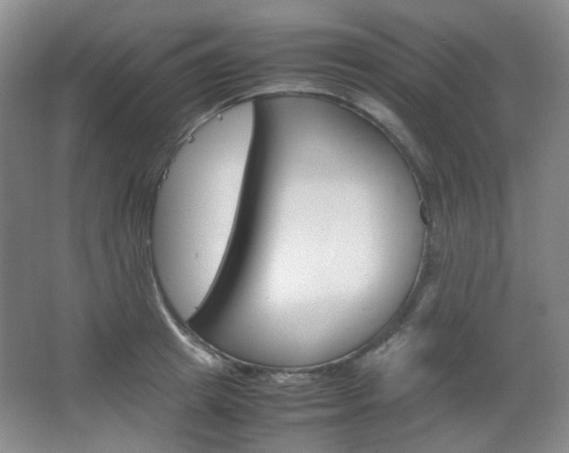 X0000067500849200604071021
