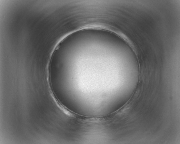 X0000067500862200604071021