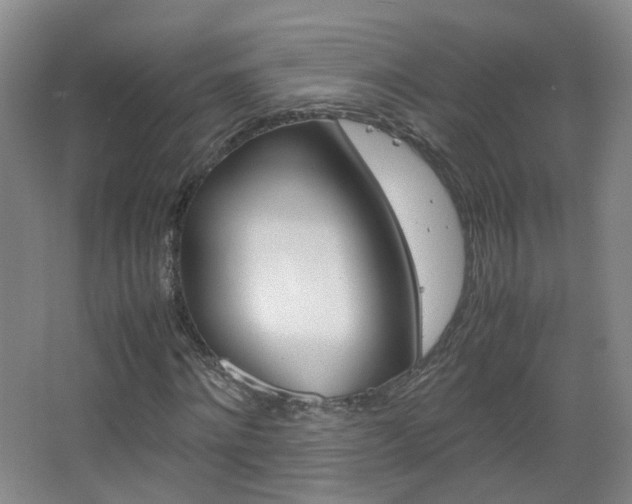 X0000067500868200604071020