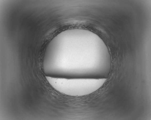 X0000067500869200604071020