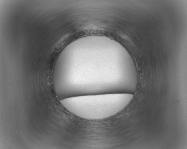X0000067500870200604071020