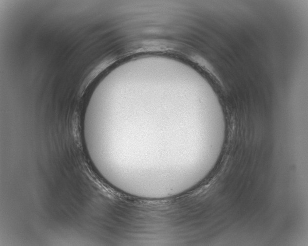X0000067500874200604071020