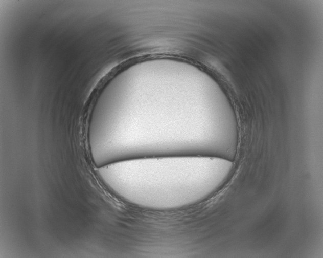 X0000067500875200604071020