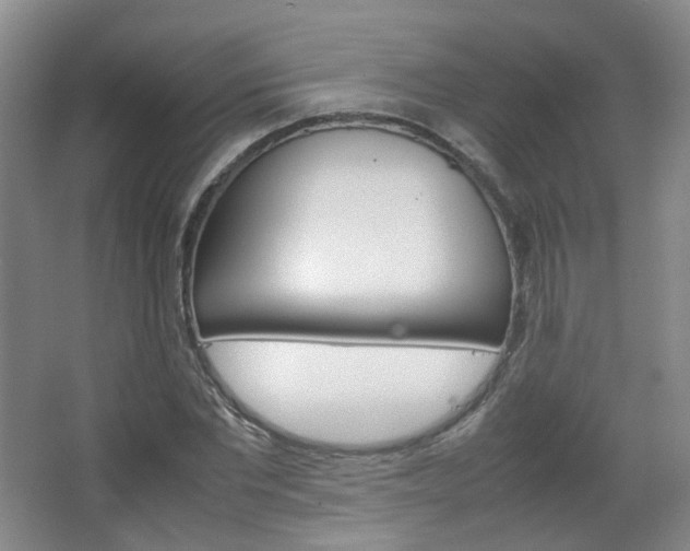 X0000067500877200604071020