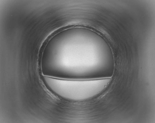 X0000067500880200604071020
