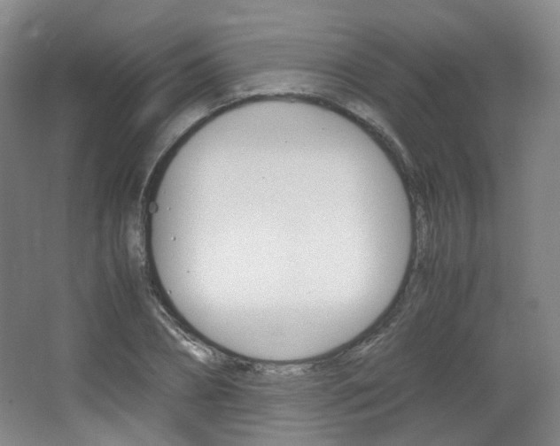 X0000067500882200604071020