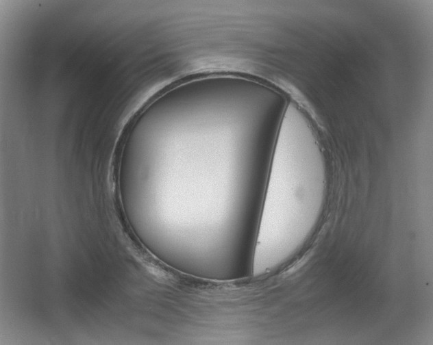 X0000067500885200604071020