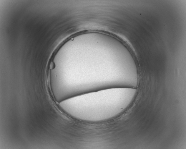 X0000067500887200604071020