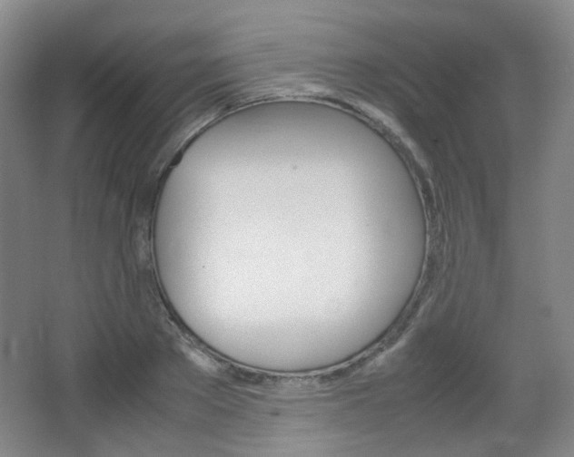 X0000067500889200604071020