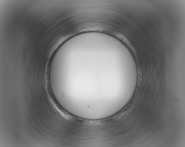 X0000067500890200604071020