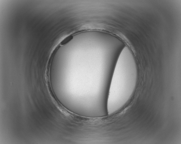 X0000067500893200604071020