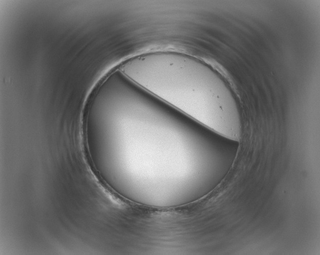 X0000067500894200604071020