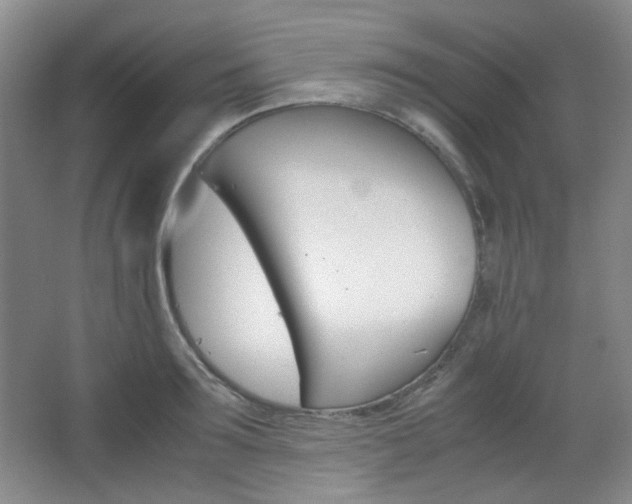 X0000067500899200604071020