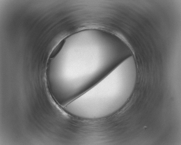 X0000067500906200604071020