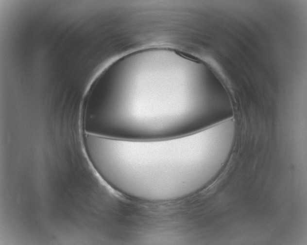 X0000067500910200604071020
