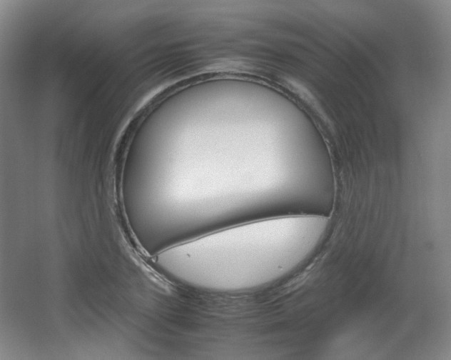 X0000067500931200604071019