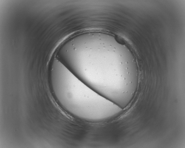 X0000067500933200604071019