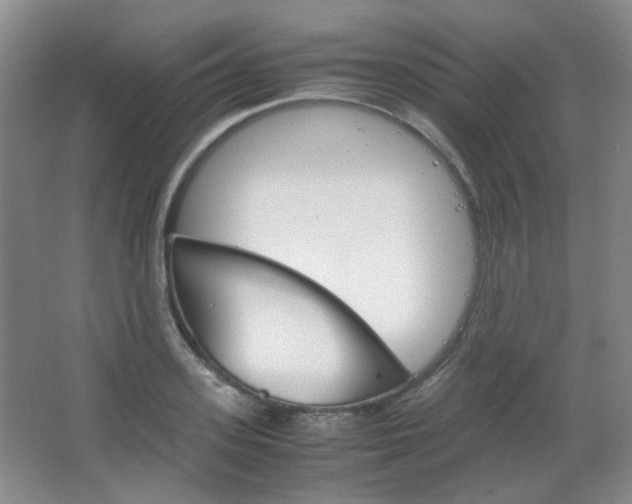 X0000067500939200604071019