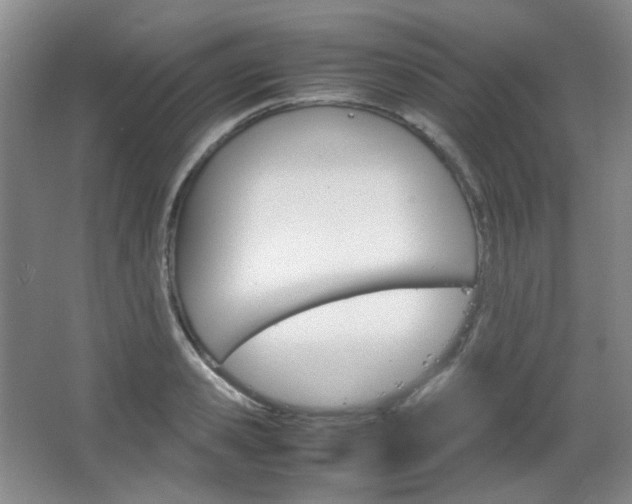 X0000067500941200604071019